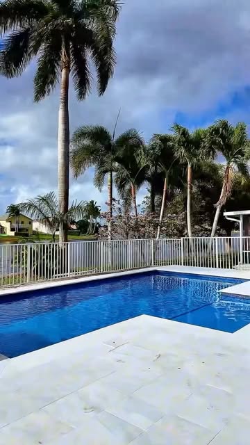 White paver pool deck surrounded by palm trees