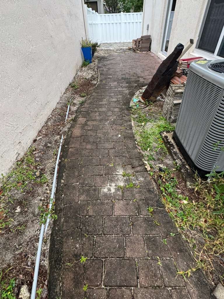 Brick paver walkway before pressure cleaning, dirty and overgrown