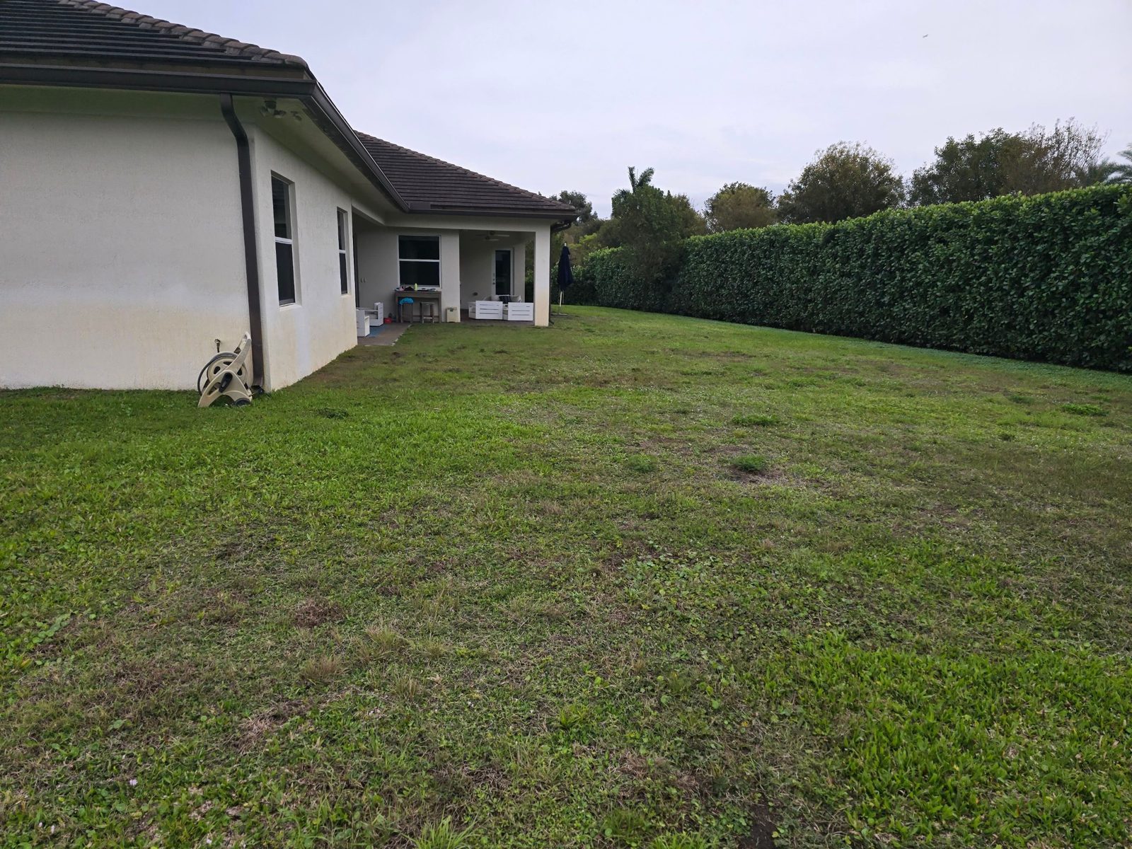 Empty backyard lawn in Davie, Florida before pool construction
