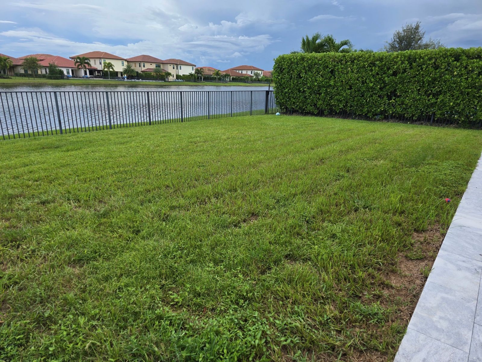 Empty lakefront lawn in Parkland, Florida before pool construction
