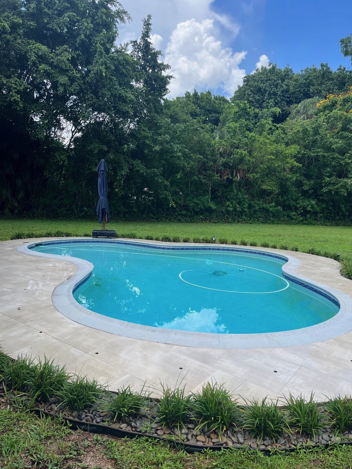 Existing freeform pool in Plantation, Florida before the spa addition